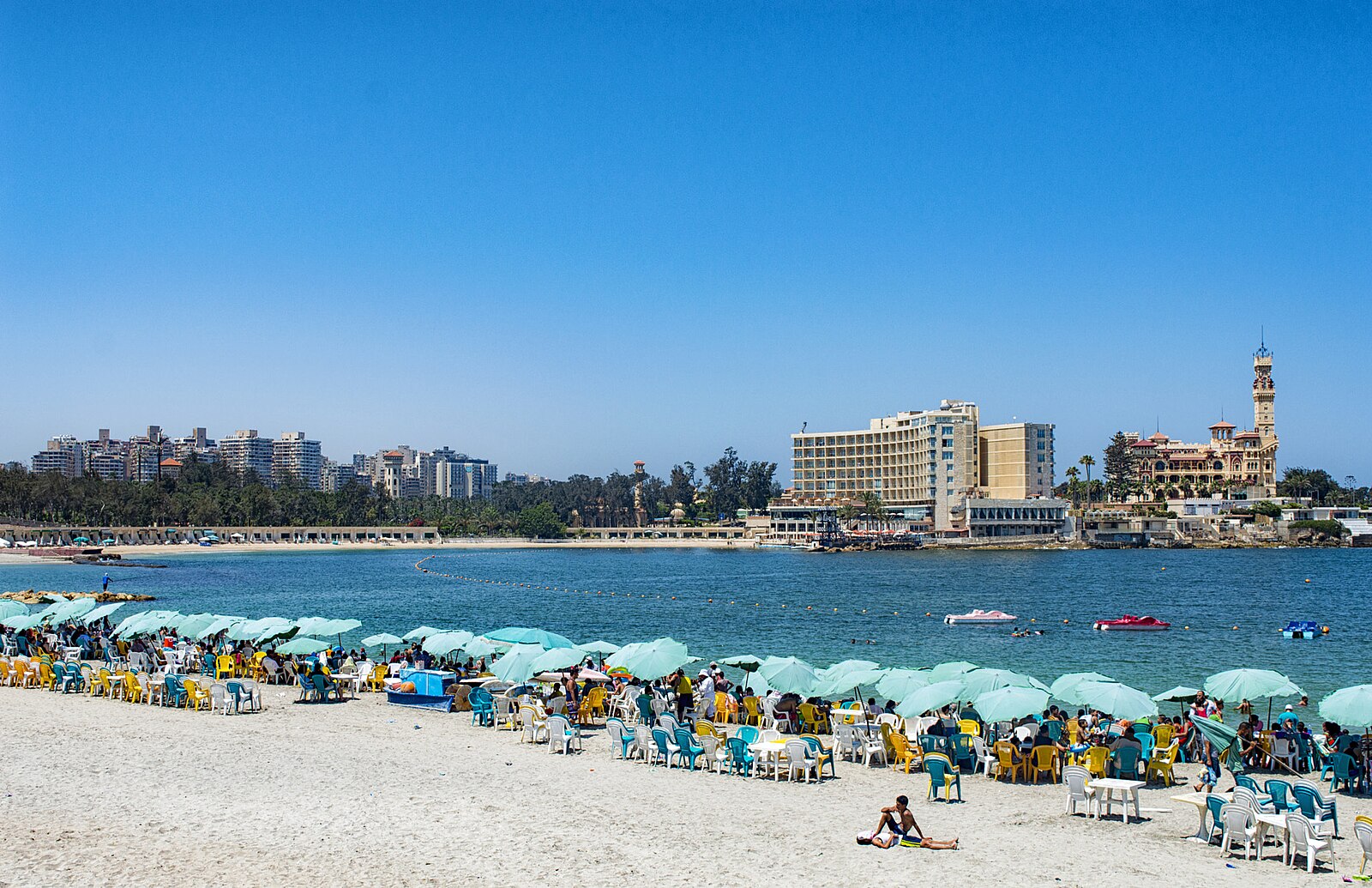 Alexandria